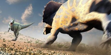 T-Rex contra un Triceratops