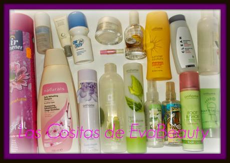 Productos Terminados (Vol.11)