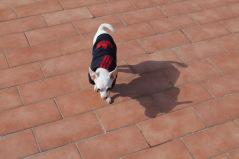 ygi9 (2) Hola amigoooooos!!!!