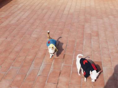 5re54 Hola amigoooooos!!!!