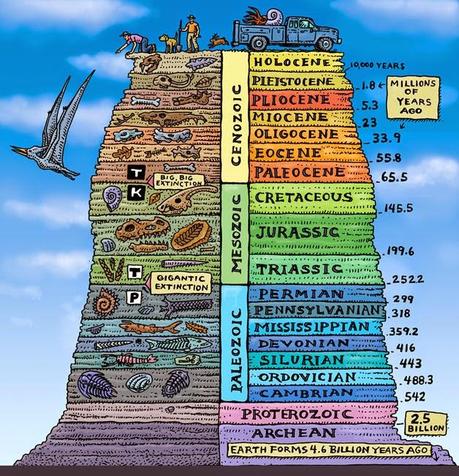 ¿Para qué estudiar Paleontología? Parte 2