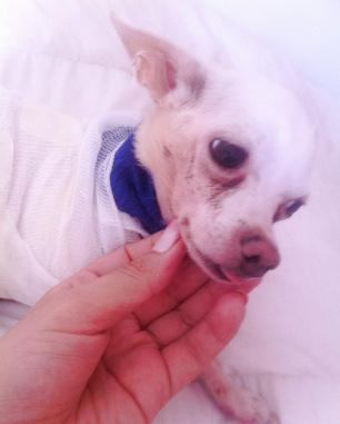 kens - copia Hola amigoooos del blog!!!