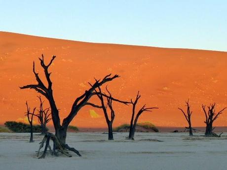 Desierto de Namib.  Un viaje por África del Sur