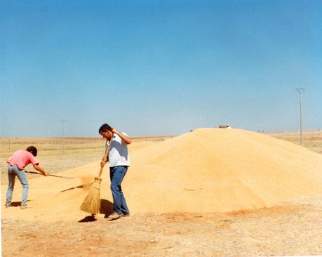 El oficio de separar el grano. Eras y trillas en La Mancha (2ª parte) El oficio de separar el grano. Eras y trillas en La Mancha (2ª parte)
