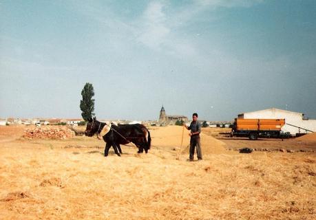 El oficio de separar el grano. Eras y trillas en La Mancha (2ª parte) El oficio de separar el grano. Eras y trillas en La Mancha (2ª parte)