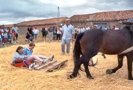 El oficio de separar el grano. Eras y trillas en La Mancha (2ª parte) El oficio de separar el grano. Eras y trillas en La Mancha (2ª parte)