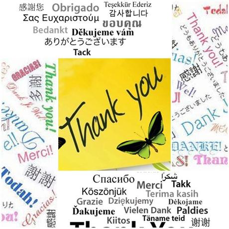 1º Aniversario In-Out Style page