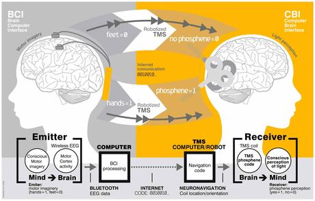 Infografía con el flujo del mensaje entre el cerebro emisor y el cerebro receptor: cerebro-ordenador-cerebro.
