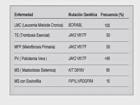 Neoplasias mieloproliferativas: Aspecto básicos para el médico de familia