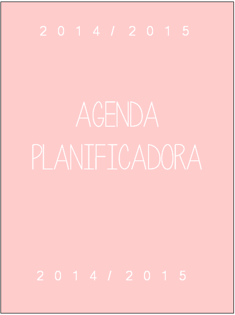 mini Agenda planner + organizador.