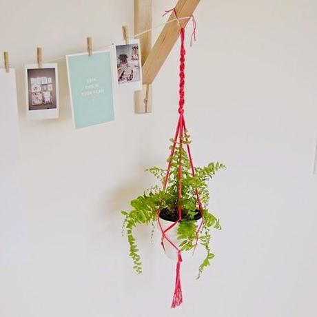 DIY Macetero colgante DIY Macetero colgante