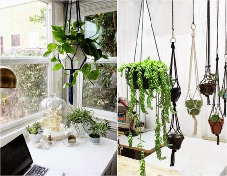 DIY Macetero colgante DIY Macetero colgante