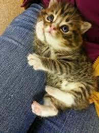 6 recursos para lograr tus propósitos de salud! 6 recursos para lograr tus propósitos de salud!