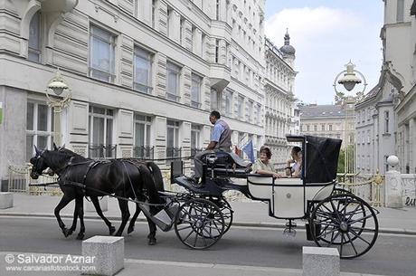 Que ver en Viena Que ver en Viena