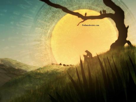 La Belleza es tan breve… arte