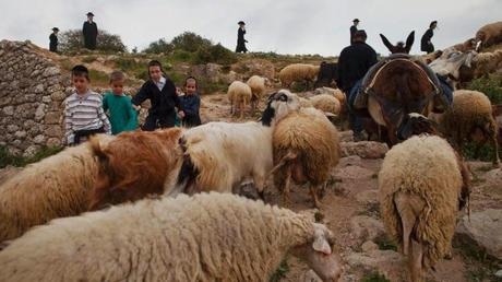 Israel anuncia la mayor expropiación de tierras en Cisjordania de los últimos 30 años