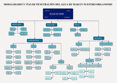 ¿POR QUÉ LOS LABORATORIOS MEDICINALES NO QUIEREN QUE TOMEMOS AGUA DE MAR?