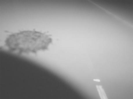 Post Personal 20: El rastro de su sangre en la cocina Post Personal 20: El rastro de su sangre en la cocina