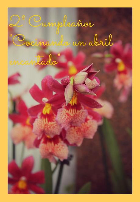 2º Cumpleaños del blog.... ¡¡y concurso!! 2º Cumpleaños del blog.... ¡¡y concurso!!