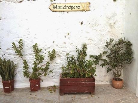 The Return The Return