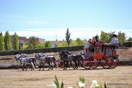 Feria de Mérida 2014 Feria de Mérida 2014