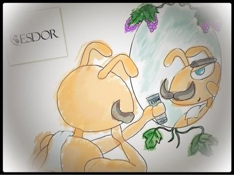 Esdor para los Caballeros Esdor para los Caballeros