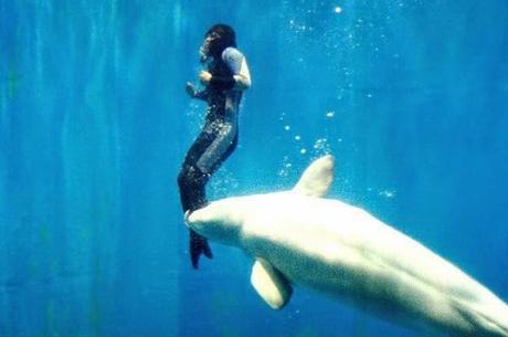 13 Historias de animales que te tocarán el corazón. Historias de animales que te emocionarán