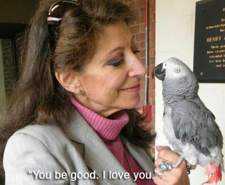 13 Historias de animales que te tocarán el corazón. Historias de animales que te emocionarán