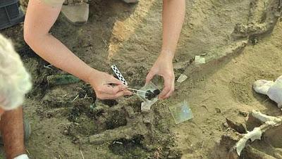 Encuentran restos de un carro carpetano en el yacimiento de Titulcia (Madrid) Encuentran restos de un carro carpetano en el yacimiento de Titulcia (Madrid)