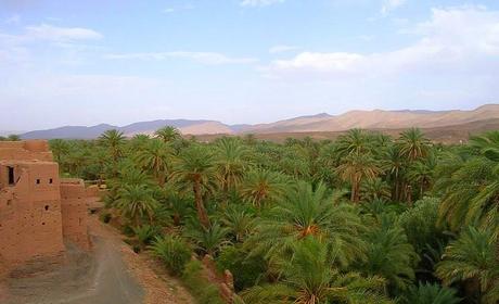 Viaje al desierto desde Marrakech a Fez 4 días 3 noches