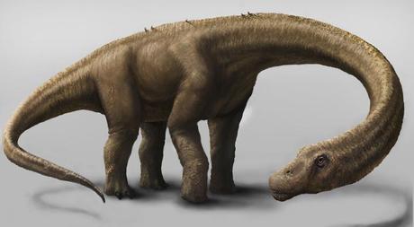 Descubren en Argentina dos especímenes del dinosaurio más grande de La Tierra. Descubren en Argentina dos especímenes del dinosaurio más grande de La Tierra.