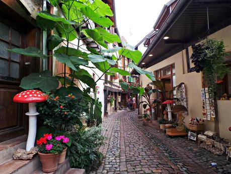 Ruta del vino y de las flores por los pueblos de Alsacia