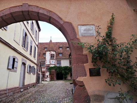 Ruta del vino y de las flores por los pueblos de Alsacia