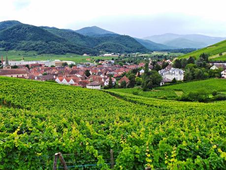 Ruta del vino y de las flores por los pueblos de Alsacia