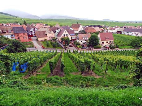 Ruta del vino y de las flores por los pueblos de Alsacia