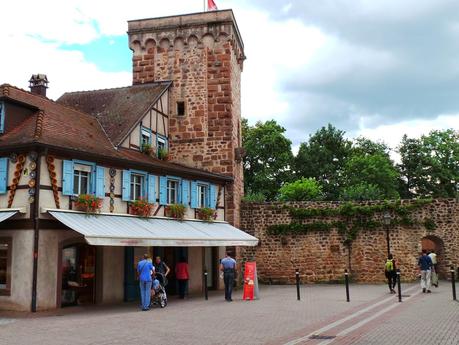 Ruta del vino y de las flores por los pueblos de Alsacia