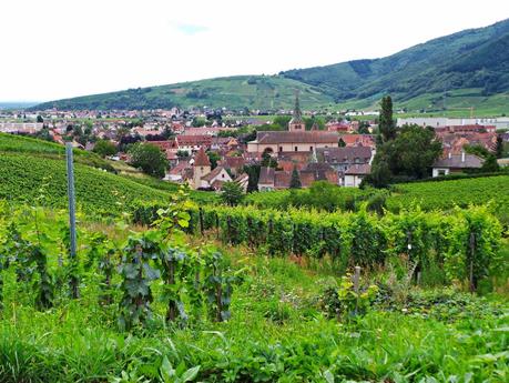 Ruta del vino y de las flores por los pueblos de Alsacia