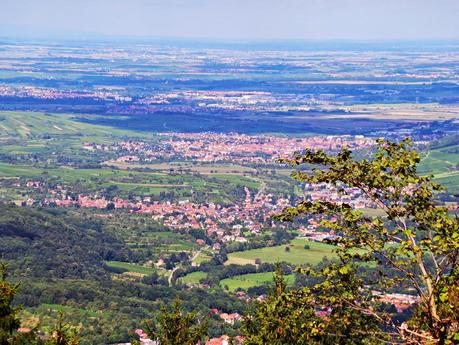 Ruta del vino y de las flores por los pueblos de Alsacia