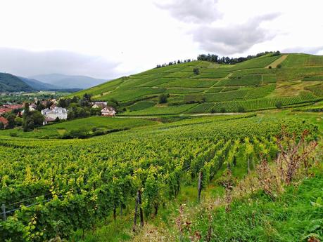 Ruta del vino y de las flores por los pueblos de Alsacia