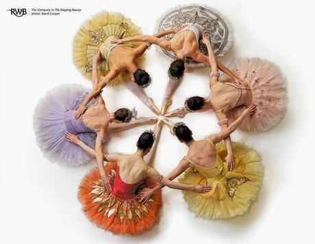 Acerca de rosetas y otras cosas Acerca de rosetas y otras cosas