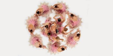 Acerca de rosetas y otras cosas Acerca de rosetas y otras cosas