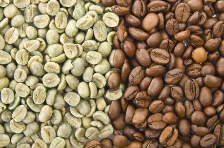 Secuencian genoma de la planta de café Genoma cafe