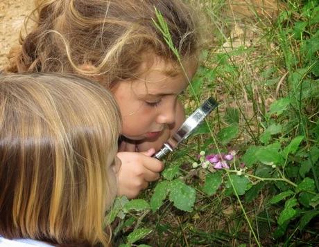 Explorando la fauna y flora de la ribera Explorando la fauna y flora de la ribera