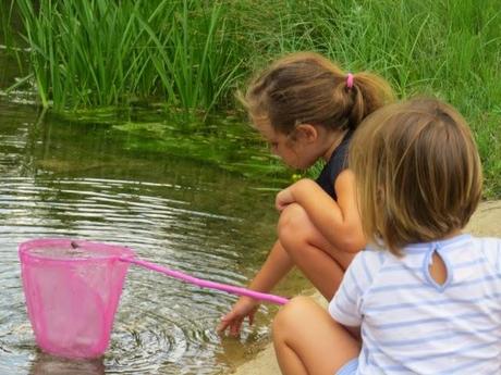Explorando la fauna y flora de la ribera Explorando la fauna y flora de la ribera
