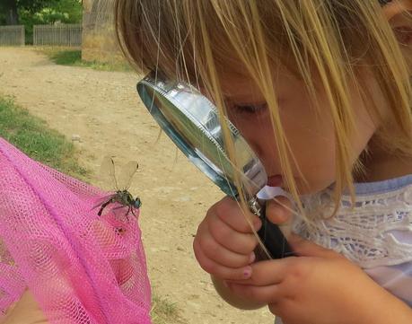Explorando la fauna y flora de la ribera Explorando la fauna y flora de la ribera