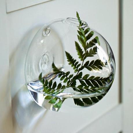 Decoramos con flores, hierbas y plantas . . . Decoramos con flores, hierbas y plantas . . .