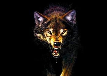CENANDO CON EL LOBO FEROZ , manitas de cerdo en adobo.(EL DESAFIO) CENANDO CON EL LOBO FEROZ , manitas de cerdo en adobo.(EL DESAFIO)