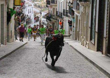 OTRA INTENSA JORNADA EN CARCABUEY CON EL TORO DE CUERDA COMO PROTAGONISTA