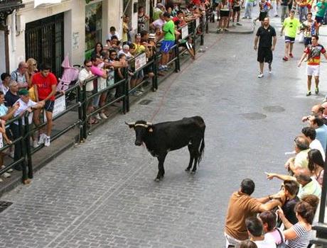 OTRA INTENSA JORNADA EN CARCABUEY CON EL TORO DE CUERDA COMO PROTAGONISTA