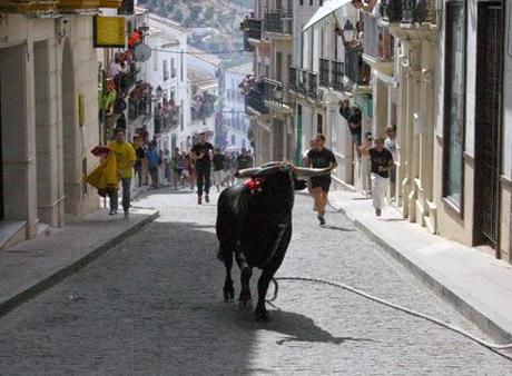 OTRA INTENSA JORNADA EN CARCABUEY CON EL TORO DE CUERDA COMO PROTAGONISTA